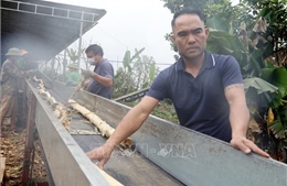 Mở cánh cửa mới cho người lao động - Bài 1: Nhiều lựa chọn trong thị trường lao động mở