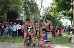 50 năm vang mãi tiếng chày trên sóc Bom Bo