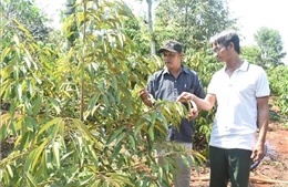 Người cựu chiến binh giữ lửa buôn làng Tây Nguyên