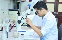 Xây dựng môi trường thuận lợi để trí thức cống hiến và phát triển