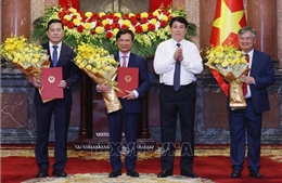 Chủ tịch nước Lương Cường trao quyết định bổ nhiệm 3 Phó Chủ nhiệm Văn phòng Chủ tịch nước