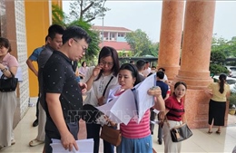 Hưng Yên không có đột biến tại phiên đấu giá đất vùng ven đô