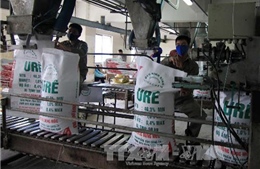 Giá điện tăng ảnh hưởng thế nào đến giá thành sản xuất phân bón?