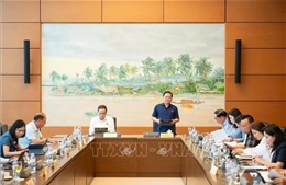 Thúc đẩy kinh tế dữ liệu phát triển, bảo đảm không xâm phạm đời tư cá nhân