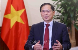 Tạo nền tảng vững chắc đưa quan hệ song phương giữa Việt Nam và các nước lên tầm cao mới