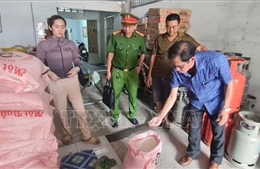 Hậu Giang phát hiện gạo có vấn đề bất thường bán trên thị trường