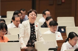 Đề xuất &#39;thanh tra đột xuất nhiều hơn thanh tra kế hoạch&#39;