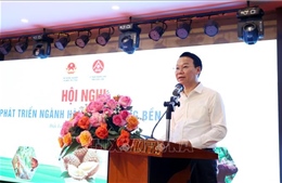 Cảnh báo sự mất cân đối trong phát triển ngành hàng sầu riêng