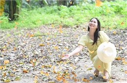 Mùa bướm ở Vườn quốc gia Cúc Phương &#39;níu chân&#39; du khách