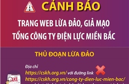 Cảnh báo trang web lừa đảo, giả mạo Tổng công ty Điện lực miền Bắc