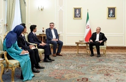 Iran mong muốn tăng cường hợp tác với Việt Nam trong các lĩnh vực chính trị, quốc phòng-an ninh và kinh tế
