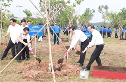 Tổ chức lễ trồng cây hữu nghị Việt Nam - Trung Quốc tại Bình Dương