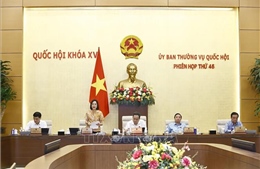 Mỗi người dân, doanh nghiệp cần có một trợ lý ảo