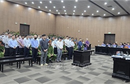 Xét xử vụ Phúc Sơn: Các bị cáo mong được Tòa xem xét bối cảnh phạm tội