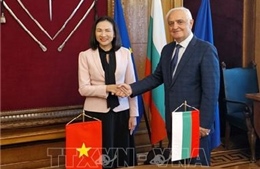 Việt Nam là cầu nối giúp Bulgaria tăng cường phát triển quan hệ với ASEAN