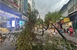 Mưa dông lớn bất ngờ quật đổ nhiều cây xanh, xe máy trên đường phố Hà Nội