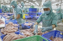 Thủy sản Việt Nam chiếm hơn 10% thị phần tại Singapore