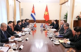 Tham khảo chính trị lần thứ VIII giữa Bộ Ngoại giao Việt Nam và Bộ Ngoại giao Cuba