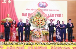 Phú Thọ: Tạo đột phá để nâng cao chất lượng lãnh đạo các tổ chức Đảng trực thuộc