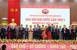 Các cơ quan Đảng tỉnh Quảng Ngãi thực hiện tốt vai trò &#39;hạt nhân&#39; chính trị