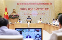 Thủ tướng chủ trì họp Ban Chỉ đạo quốc gia về phát triển ngành công nghiệp bán dẫn