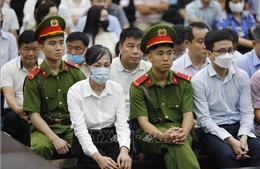 Vụ Tập đoàn Phúc Sơn: Bị cáo Hoàng Thị Thúy Lan kháng cáo xin giảm nhẹ hình phạt