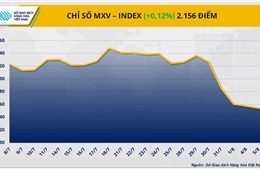 MXV-Index phục hồi sau 5 phiên xuống dốc, bạch kim dẫn dắt đà tăng