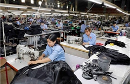 Tháng 7, kinh tế cả nước tiếp đà tăng trưởng ở nhiều lĩnh vực