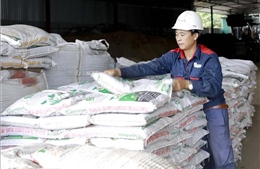 Doanh nghiệp phân bón đón &#39;mùa vàng&#39; xuất khẩu nhờ cầu tăng, giá tốt