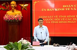 Ủy ban Kinh tế và Tài chính Quốc hội giám sát tại Đồng Nai