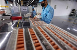 Ấn tượng Việt Nam: Ngôi &#39;sao sáng&#39; trong dòng chảy FDI toàn cầu