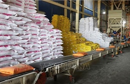 Gạo Việt hướng tới giá trị gia tăng và phát triển bền vững
