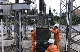Ngành điện kích hoạt ứng phó khẩn cấp bão số 5