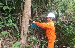 Ứng phó bão số 5: Tổng công ty Điện lực miền Trung gia cố hệ thống điện, viễn thông 