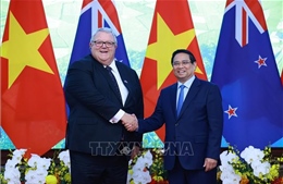 Thủ tướng Phạm Minh Chính hội kiến Chủ tịch Quốc hội New Zealand 