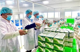 &#39;Đòn bẩy&#39; cho một Việt Nam thịnh vượng - Bài 1: Từ bổ trợ đến vai trò dẫn dắt 