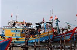 Tàu cá nằm bờ vì tàu một đằng, giấy phép một nẻo