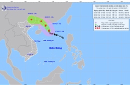 Bão gây gió giật mạnh, sóng lớn trên vùng biển phía Bắc khu vực Bắc Biển Đông