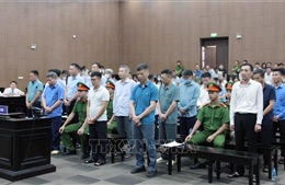 Vụ Tập đoàn Thuận An: Phân hóa trách nhiệm từng bị cáo để có mức án đề nghị phù hợp