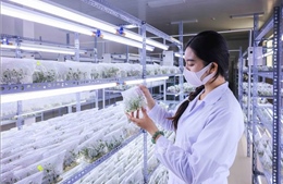 Nghị quyết 57: Chìa khóa đưa Việt Nam tiến xa