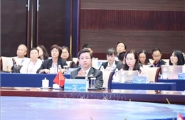 Việt Nam đạt được nhiều bước tiến quan trọng trong lĩnh vực AI