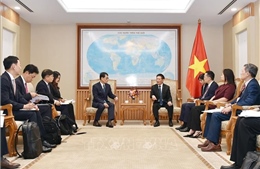 Phó Thủ tướng Hồ Đức Phớc tiếp Chủ tịch kiêm Tổng Giám đốc điều hành Ngân hàng IBK