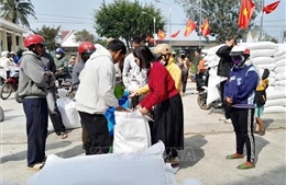 Hoàn thành kế hoạch đấu thầu 200.000 tấn gạo dự trữ quốc gia