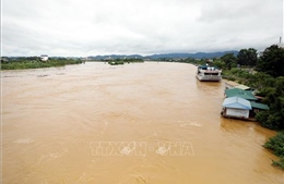 Vận hành hồ thủy điện Tuyên Quang đảm bảo an toàn công trình, hạ du