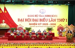 Ninh Bình phấn đấu đến năm 2030 trở thành thành phố trực thuộc Trung ương