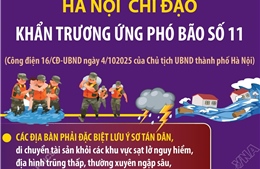 Hà Nội chỉ đạo khẩn trương ứng phó bão số 11