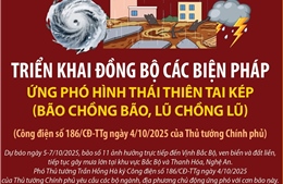 Triển khai đồng bộ các biện pháp ứng phó hình thái thiên tai kép