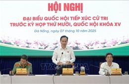 Cử tri Đà Nẵng mong sớm hoàn thiện cơ sở dữ liệu về đất đai