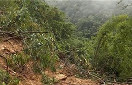 Khẩn trương tìm kiếm, hỗ trợ mai táng hai người bị vùi lấp do sạt lở đất ở Thanh Hóa 