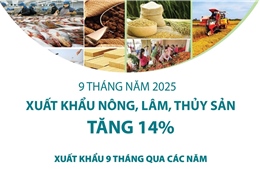 9 tháng năm 2025: Xuất khẩu nông, lâm, thủy sản tăng 14%